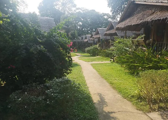 Jungle Garden